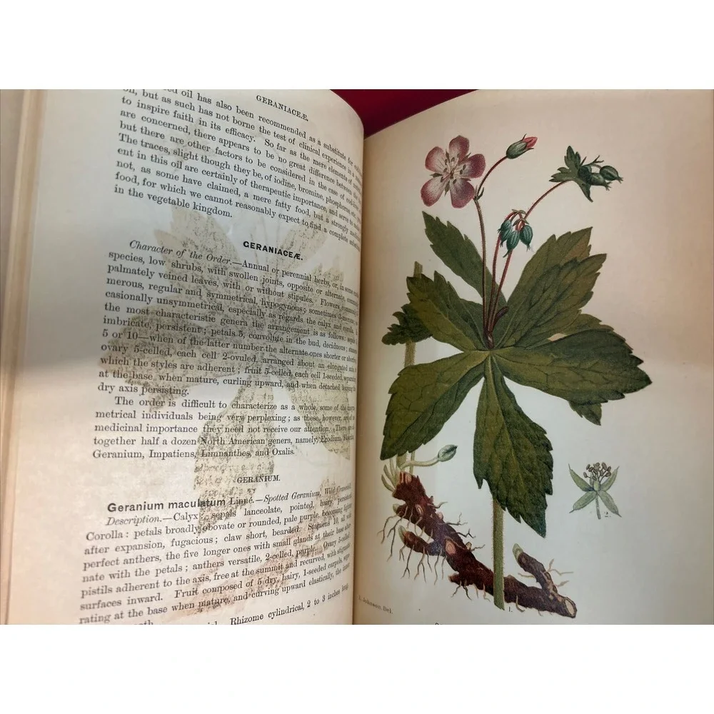 RARE A Manual of the Medical Botany of North America Laurence Johnson 1st E 1984